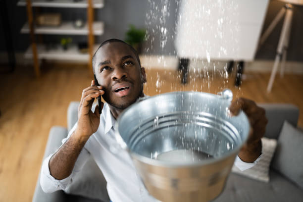 Best Water damage mitigation services  in Belle Plaine, MN