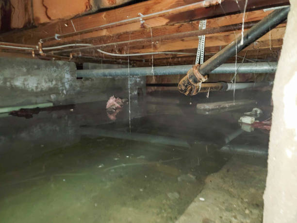 Best Emergency water damage restoration  in Belle Plaine, MN