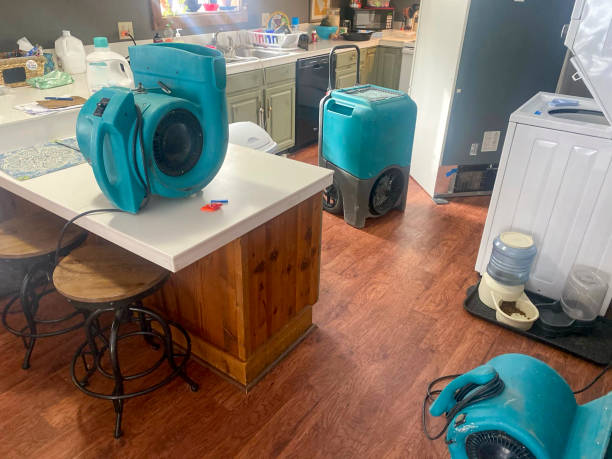 , MN Water damage restoration Company
