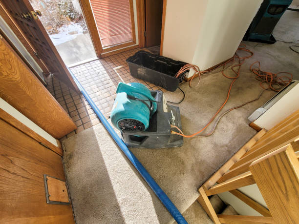 Best Sewage cleanup and water damage restoration  in Belle Plaine, MN