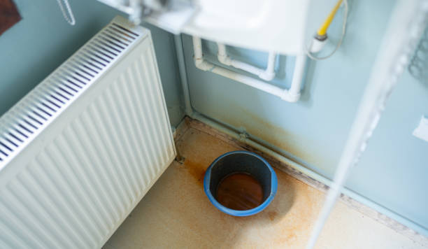 Best 24/7 water damage repair  in Belle Plaine, MN