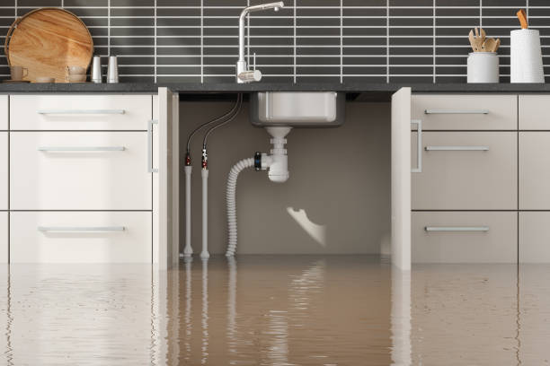 Best Ceiling water damage repair  in Belle Plaine, MN